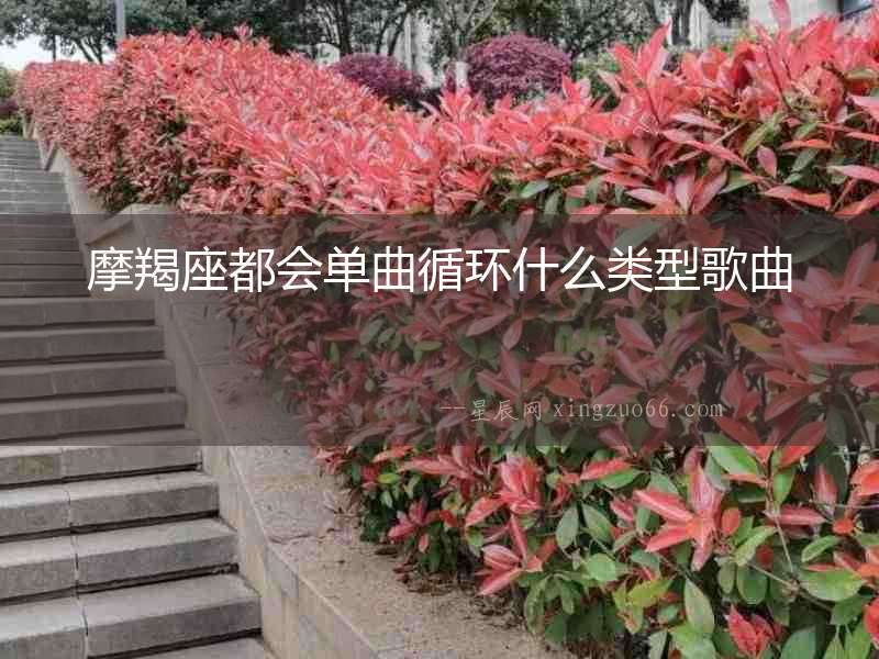 摩羯座都會(huì)單曲循環(huán)什么類型歌曲