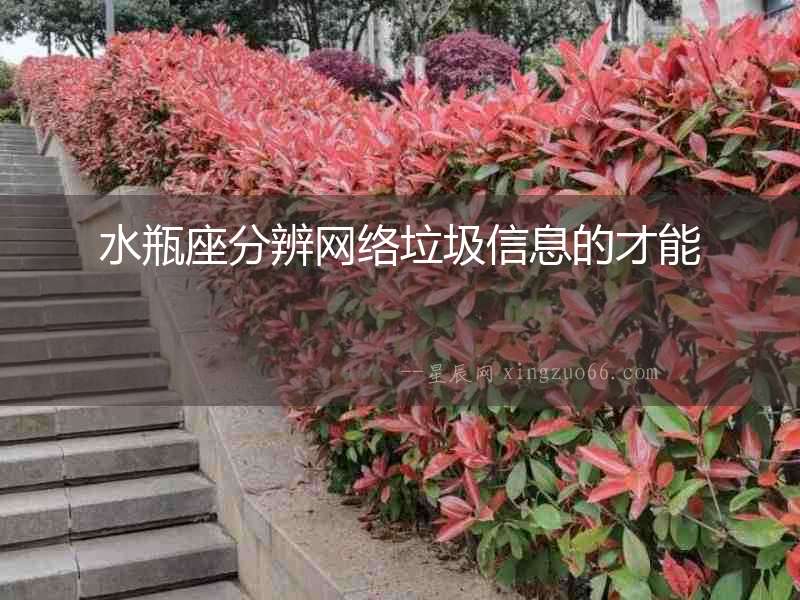 水瓶座分辨網(wǎng)絡(luò)垃圾信息的才能