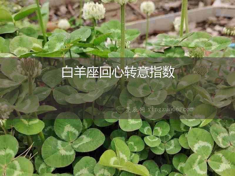 白羊座回心轉意指數