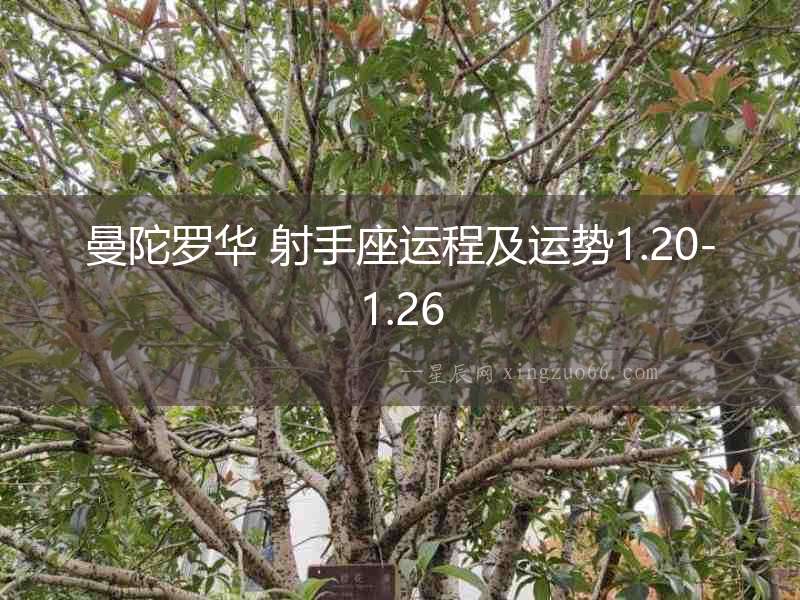 曼陀羅華 射手座運(yùn)程及運(yùn)勢(shì)1.20-1.26