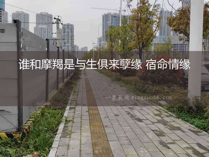誰(shuí)和摩羯是與生俱來(lái)孽緣 宿命情緣