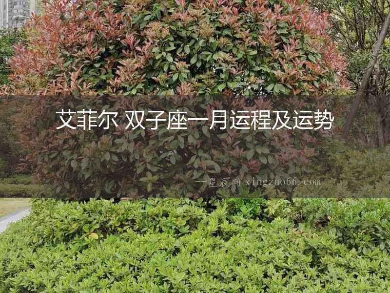 艾菲爾 雙子座一月運程及運勢