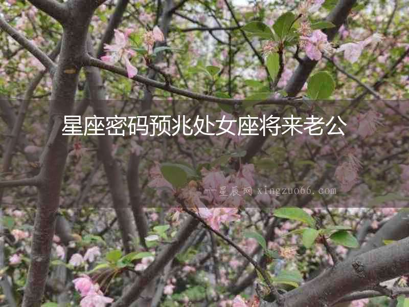 星座密碼預兆處女座將來老公