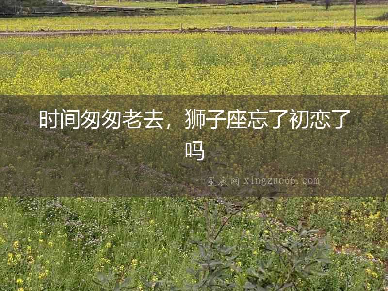 時間匆匆老去，獅子座忘了初戀了嗎