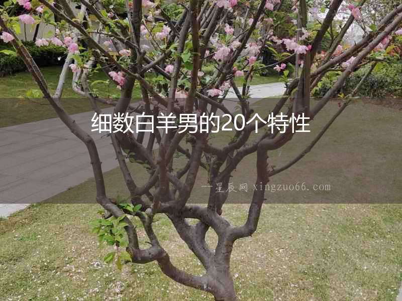 細數白羊男的20個特性