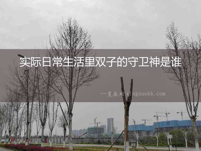 實際日常生活里雙子的守衛神是誰