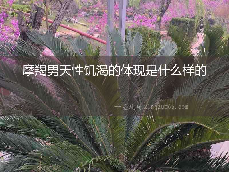 摩羯男天性饑渴的體現(xiàn)是什么樣的