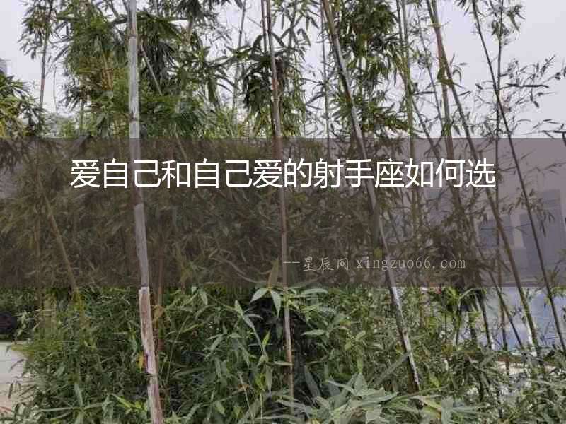 愛自己和自己愛的射手座如何選