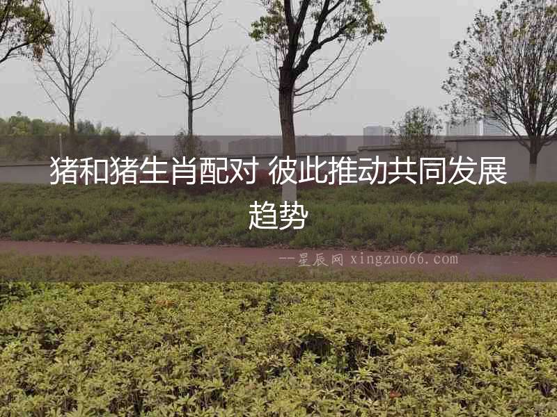 豬和豬生肖配對(duì) 彼此推動(dòng)共同發(fā)展趨勢(shì)