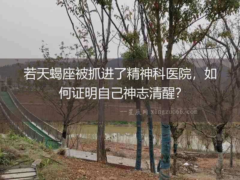 若天蝎座被抓進了精神科醫院，如何證明自己神志清醒？