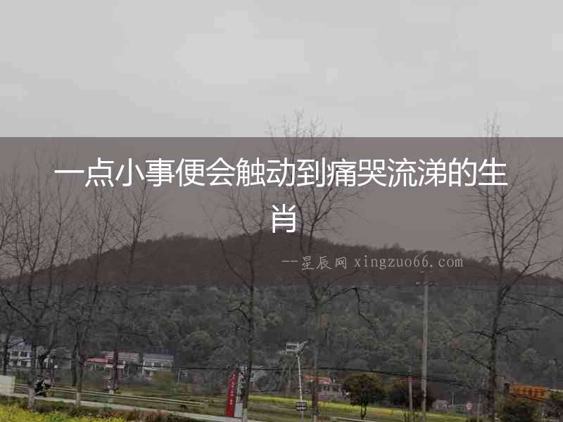 一點小事便會觸動到痛哭流涕的生肖