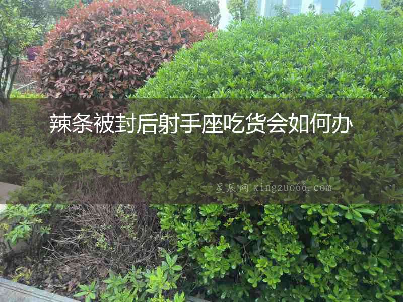 辣條被封后射手座吃貨會如何辦