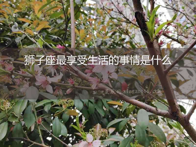 獅子座最享受生活的事情是什么