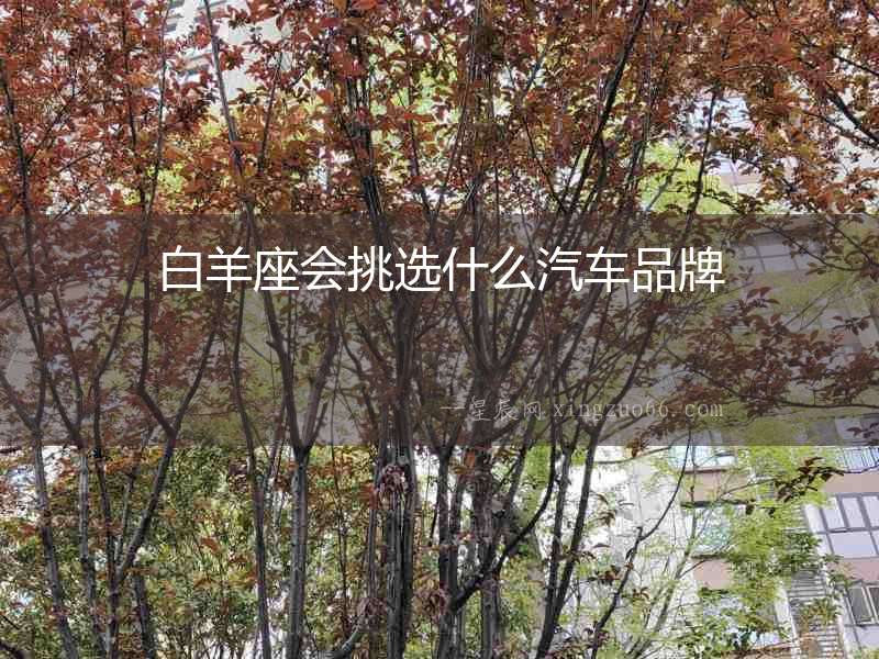 白羊座會(huì)挑選什么汽車(chē)品牌