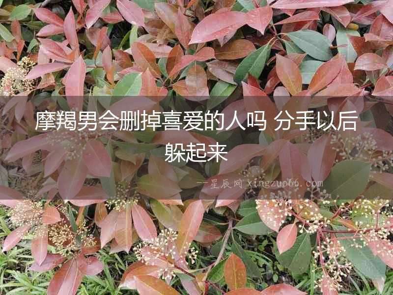 摩羯男會刪掉喜愛的人嗎 分手以后躲起來