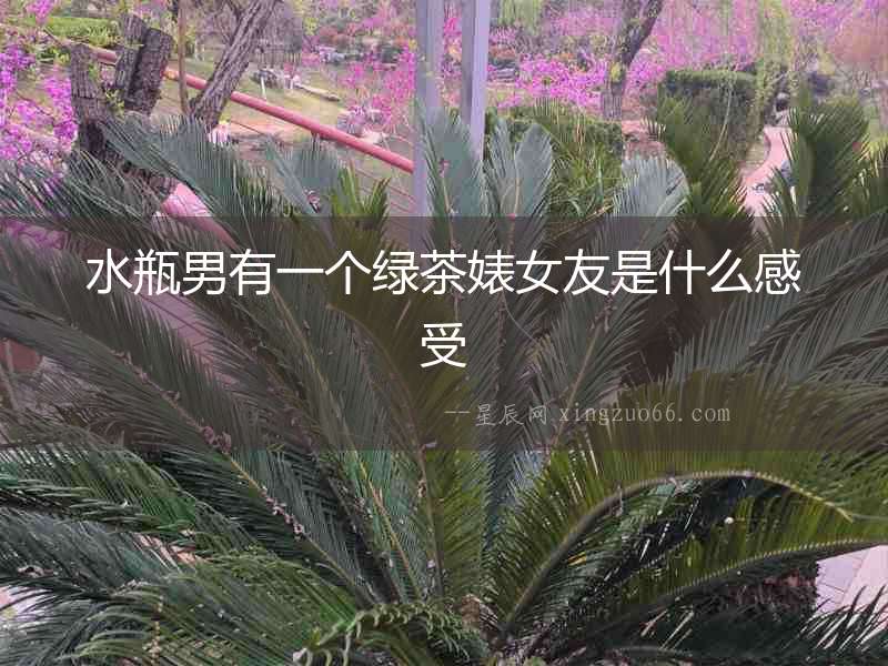 水瓶男有一個(gè)綠茶婊女友是什么感受