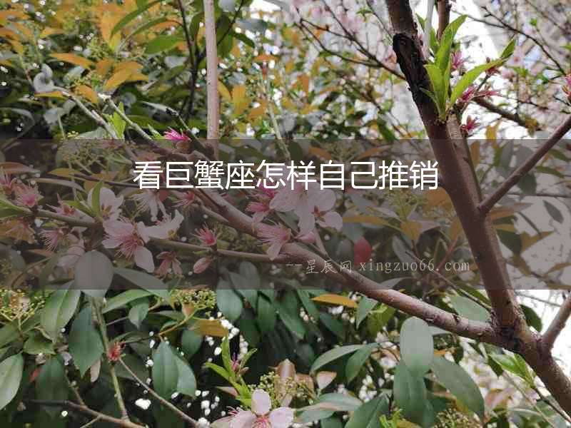 看巨蟹座怎樣自己推銷