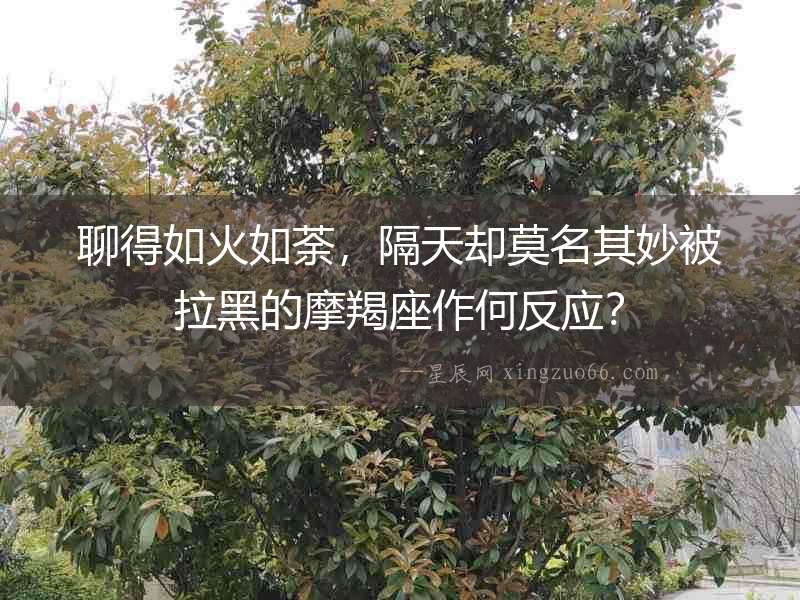 聊得如火如荼，隔天卻莫名其妙被拉黑的摩羯座作何反應？