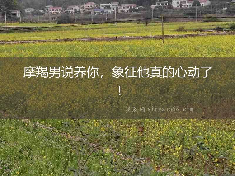 摩羯男說養你，象征他真的心動了！