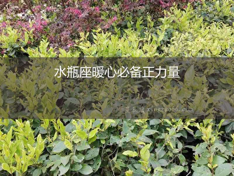水瓶座暖心必備正力量