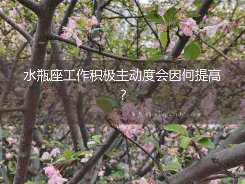 水瓶座工作積極主動度會因何提高？