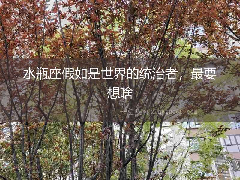 水瓶座假如是世界的統治者，最要想啥