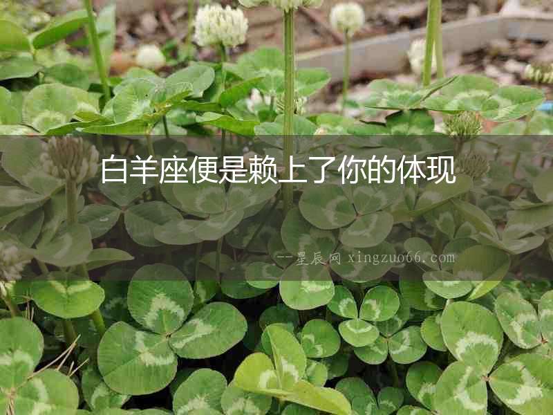 白羊座便是賴上了你的體現(xiàn)