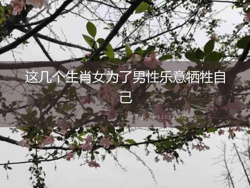 這幾個生肖女為了男性樂意犧牲自己