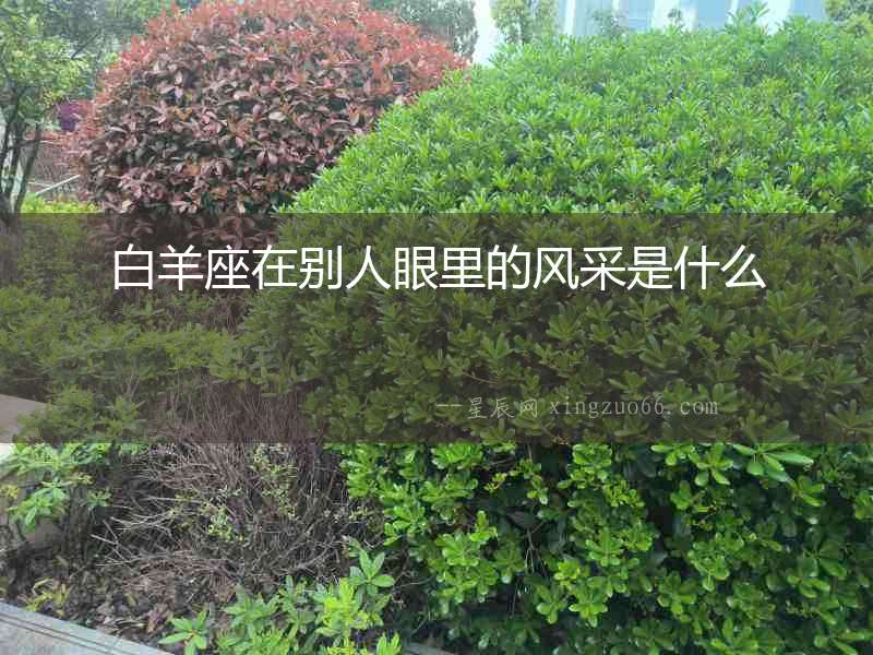 白羊座在別人眼里的風(fēng)采是什么