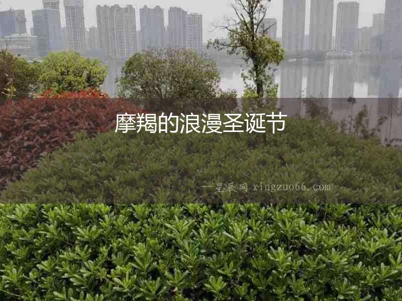 摩羯的浪漫圣誕節