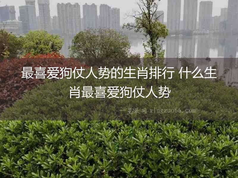 最喜愛狗仗人勢的生肖排行 什么生肖最喜愛狗仗人勢
