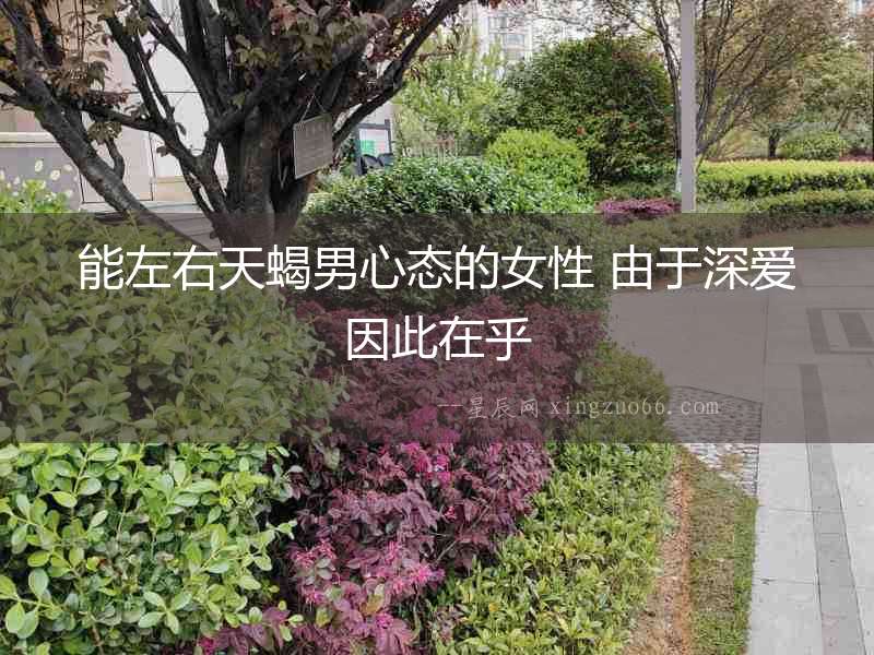 能左右天蝎男心態(tài)的女性 由于深愛因此在乎