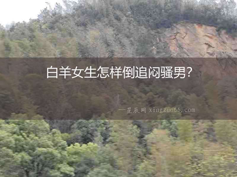 白羊女生怎樣倒追悶騷男？