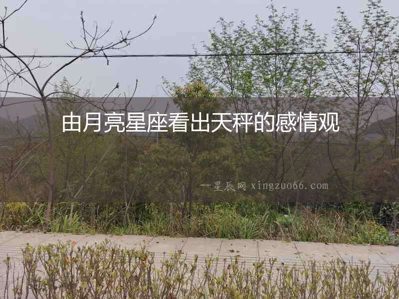 由月亮星座看出天秤的感情觀