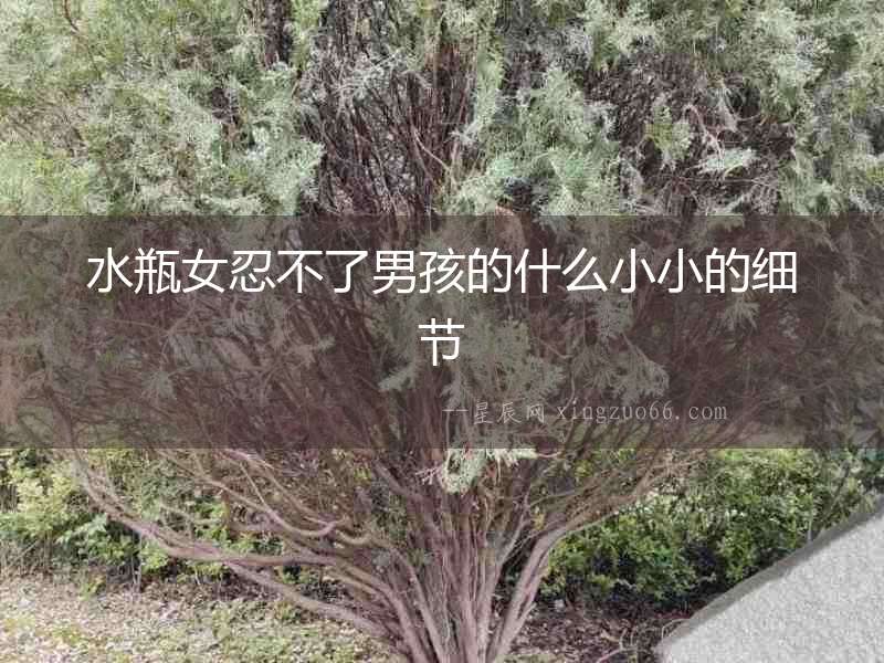 水瓶女忍不了男孩的什么小小的細節