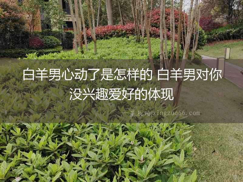 白羊男心動了是怎樣的 白羊男對你沒興趣愛好的體現(xiàn)