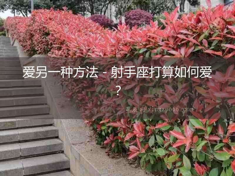 愛另一種方法－射手座打算如何愛？