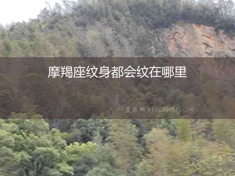 摩羯座紋身都會(huì)紋在哪里