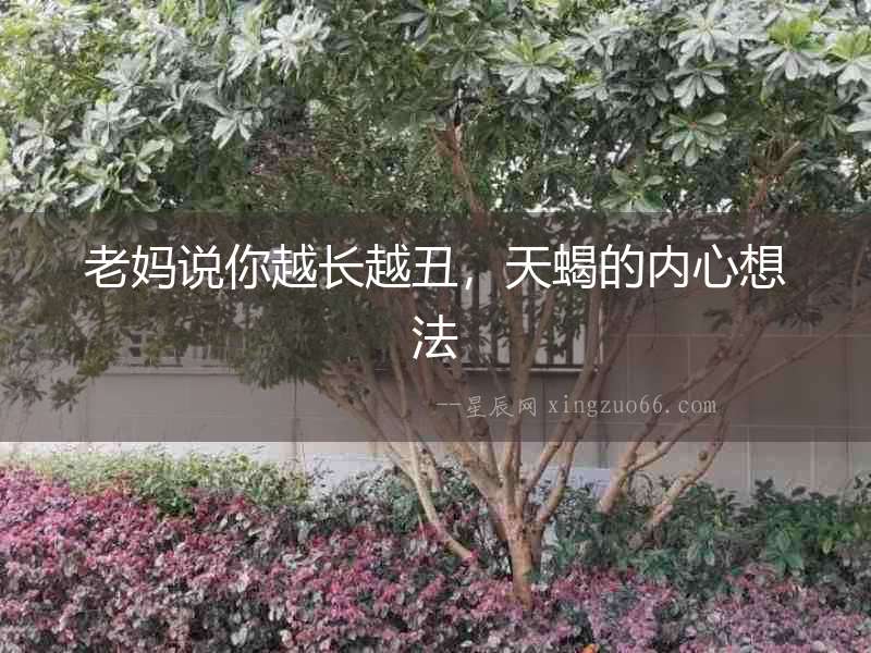 老媽說你越長越丑，天蝎的內(nèi)心想法
