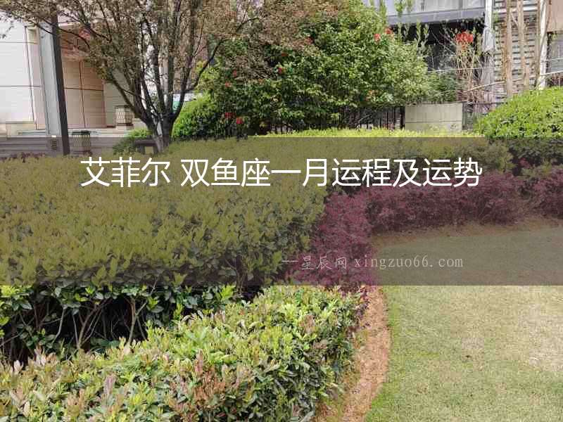 艾菲爾 雙魚座一月運(yùn)程及運(yùn)勢