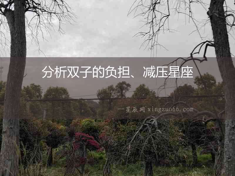分析雙子的負擔、減壓星座