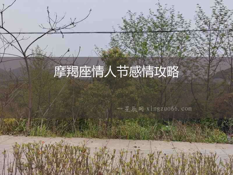 摩羯座情人節(jié)感情攻略