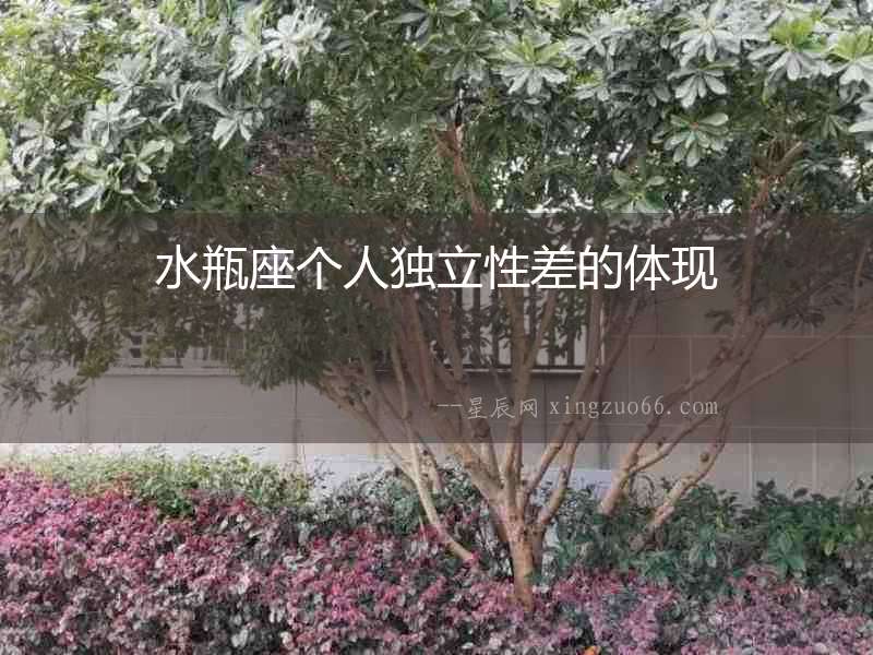 水瓶座個(gè)人獨(dú)立性差的體現(xiàn)