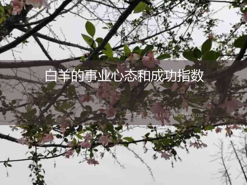 白羊的事業心態和成功指數