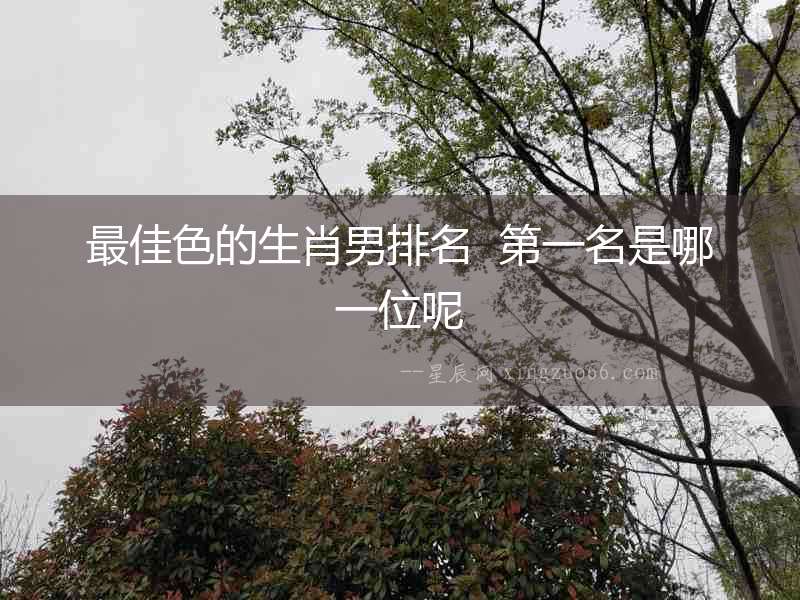 最佳色的生肖男排名  第一名是哪一位呢