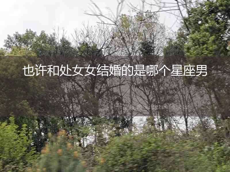 也許和處女女結婚的是哪個星座男
