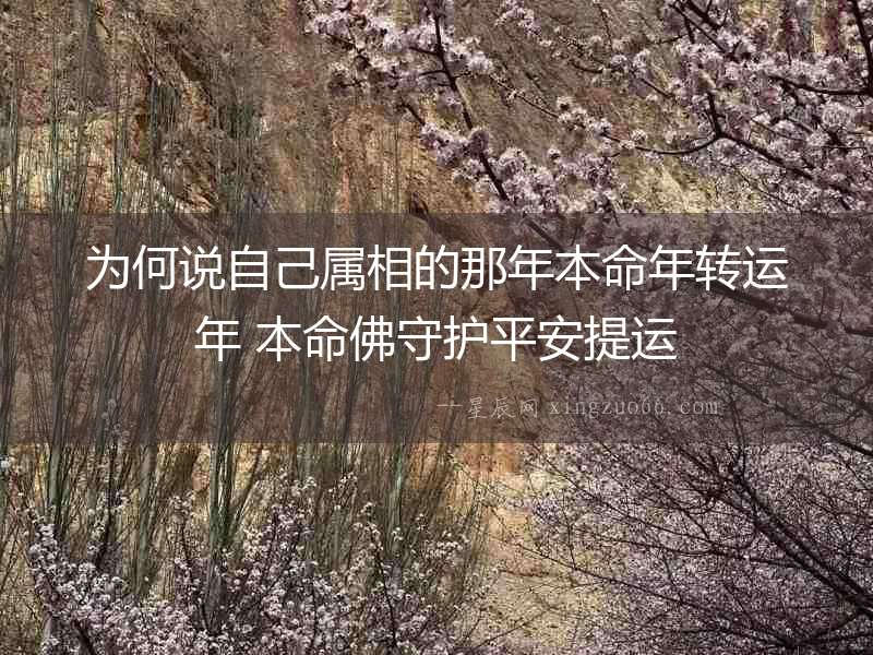 為何說自己屬相的那年本命年轉(zhuǎn)運年 本命佛守護(hù)平安提運