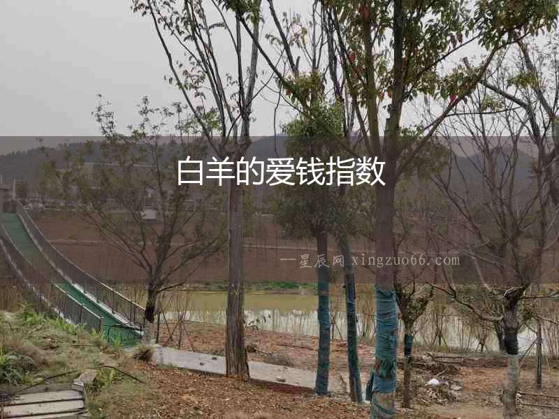 白羊的愛錢指數(shù)
