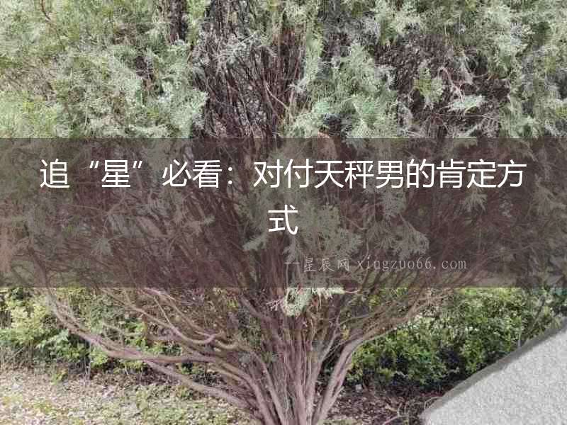 追“星”必看：對付天秤男的肯定方式