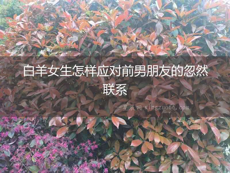 白羊女生怎樣應(yīng)對前男朋友的忽然聯(lián)系